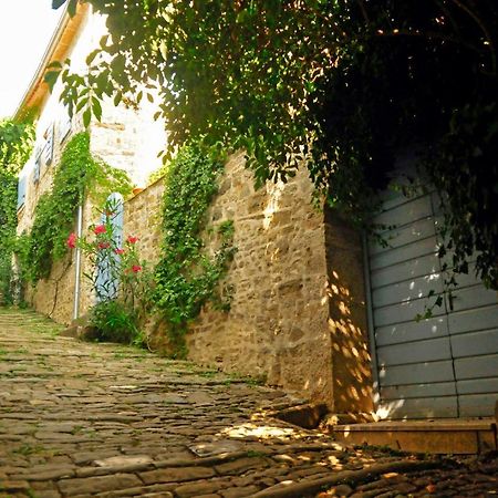 Ruine-Motovun Dh Villa Екстериор снимка