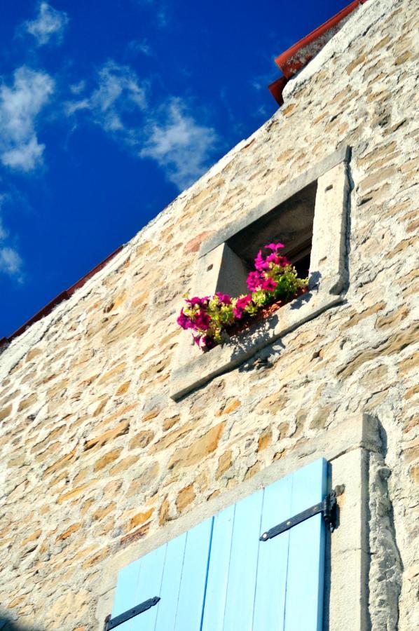 Ruine-Motovun Dh Villa Екстериор снимка