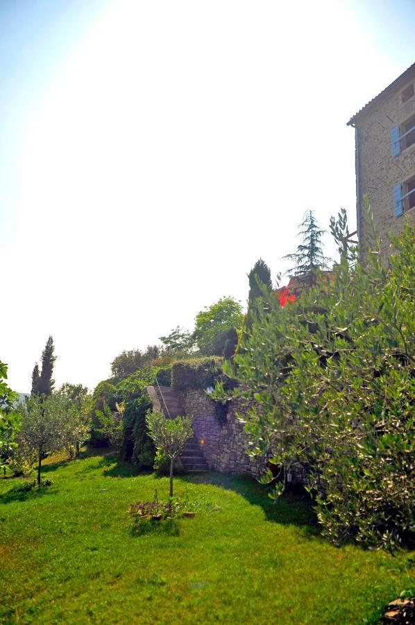 Ruine-Motovun Dh Villa Екстериор снимка