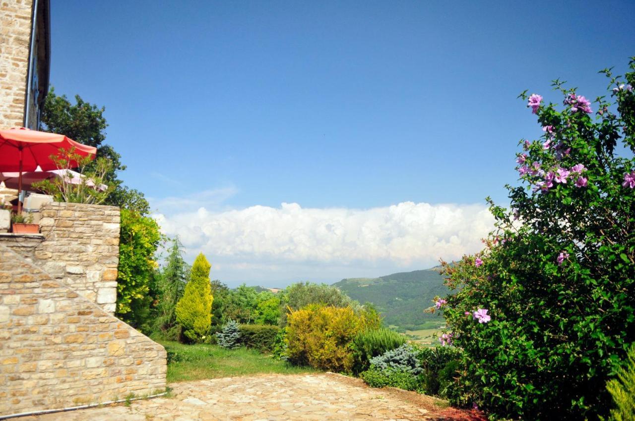 Ruine-Motovun Dh Villa Екстериор снимка